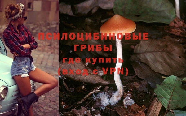 винт Алзамай