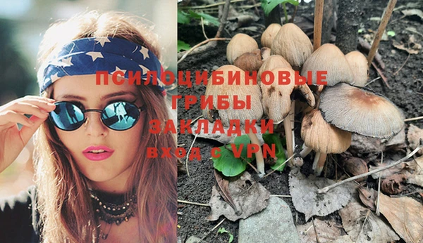 винт Алзамай
